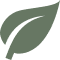 leaf_icon