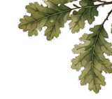 tree_leaf